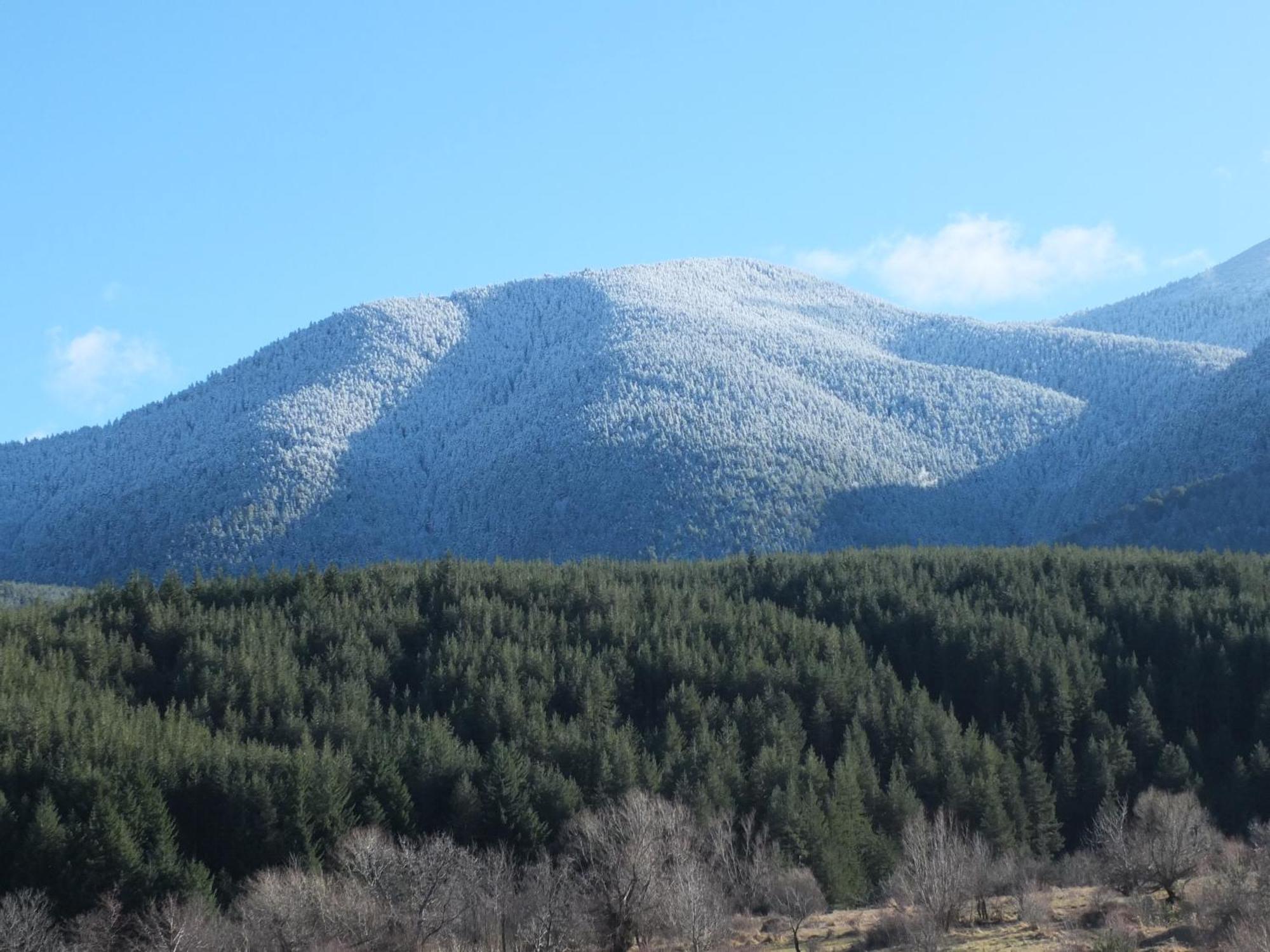 Pirin Heights A-21 Близо До Ски Пистата Bansko Ngoại thất bức ảnh